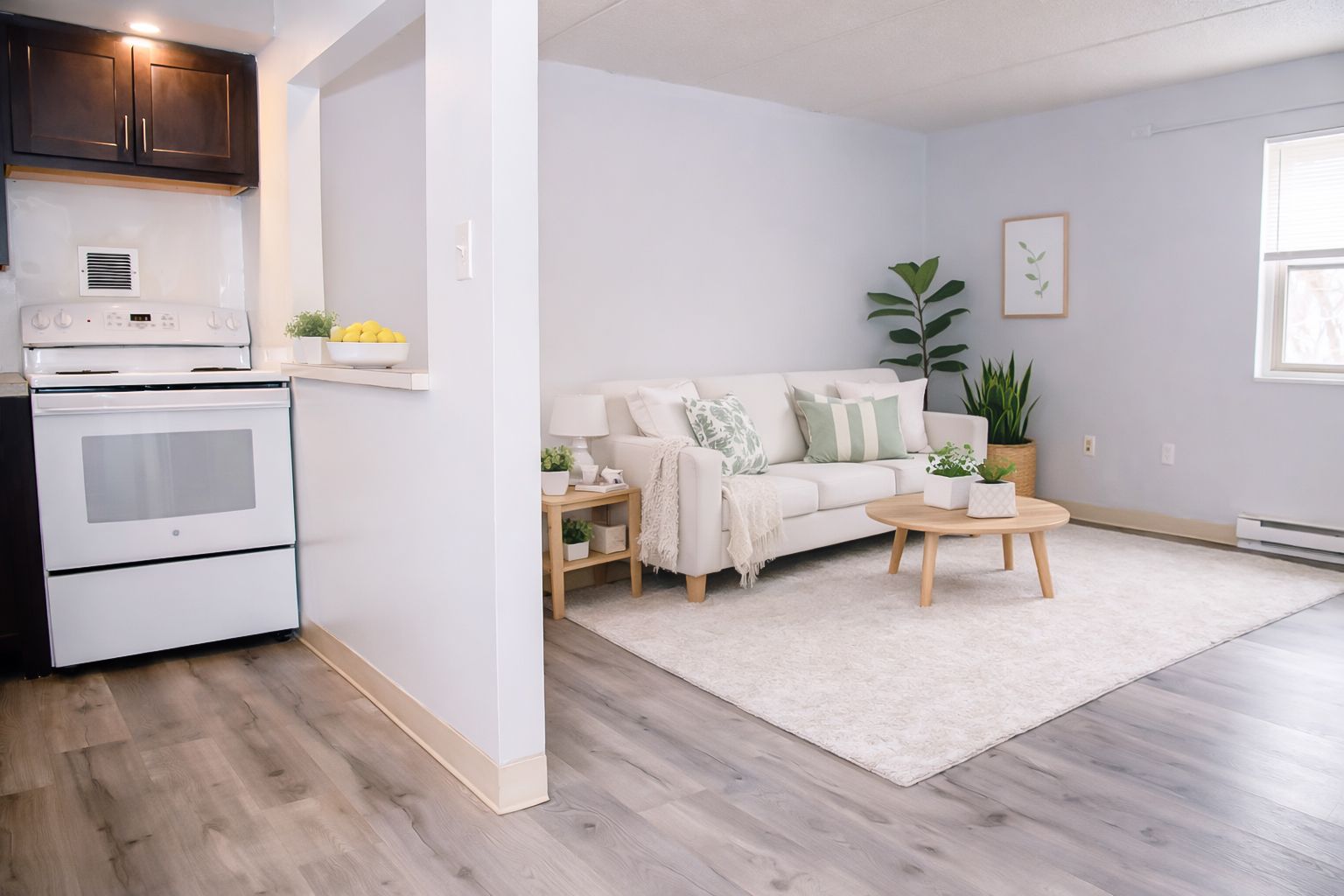 Van Rensselaer Heights Living Area